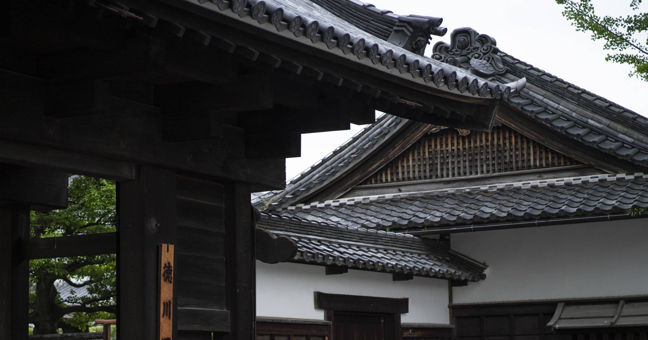 館長メッセージ